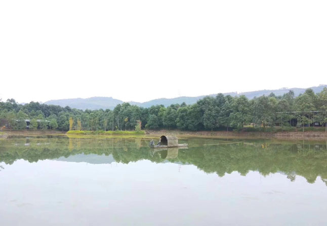 康成電子 康成電子團(tuán)隊風(fēng)采3