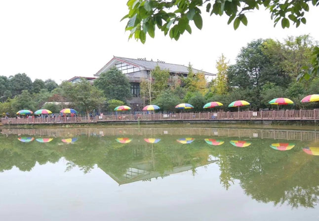 康成電子 康成電子團(tuán)隊風(fēng)采2